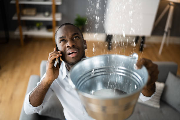 Trusted Eatonville, WA Water damage restoration Experts