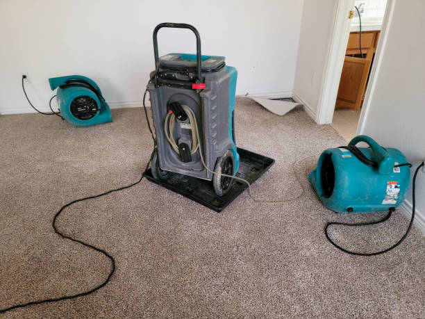 Best 24/7 water damage repair  in Eatonville, WA