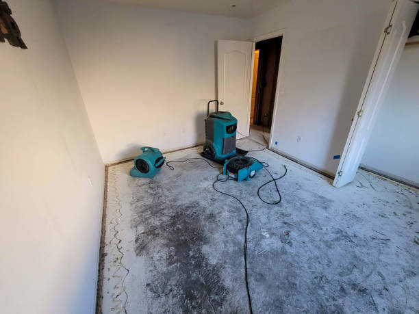 Best Local water damage restoration  in Eatonville, WA