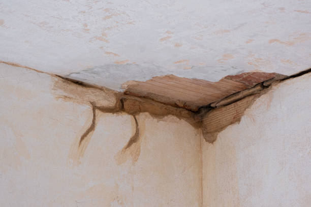 Best Basement water damage restoration  in Eatonville, WA
