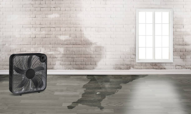 Best 24-hour water damage restoration  in Eatonville, WA