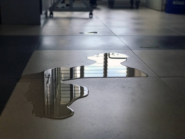Water damage restoration process in Eatonville, WA