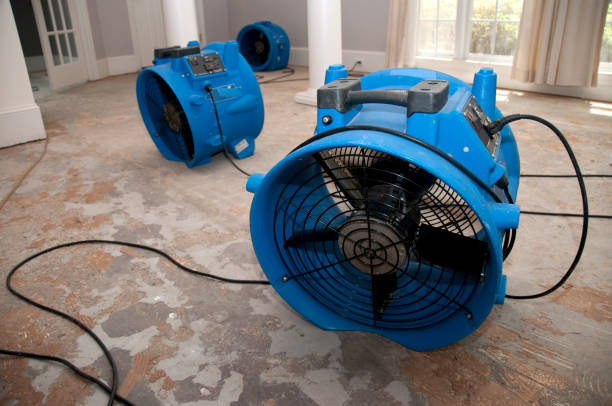 Best Ceiling water damage repair  in Eatonville, WA
