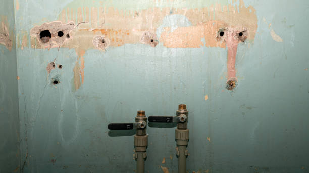 Best Basement water damage restoration  in Eatonville, WA