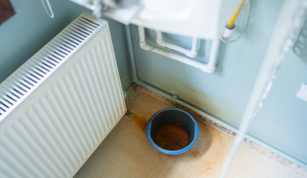 Best Flooded house restoration  in Eatonville, WA