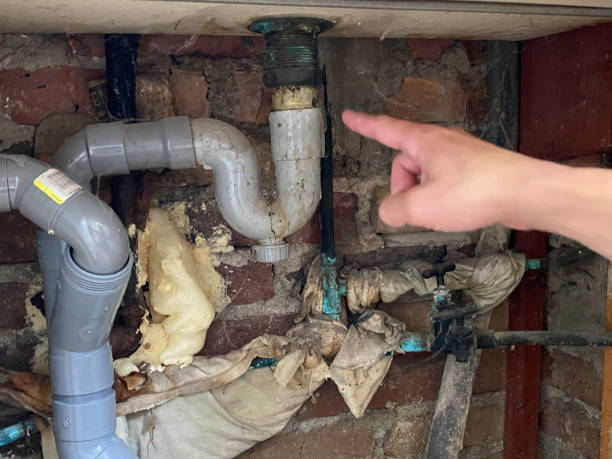Best Water damage contractors near me  in Eatonville, WA