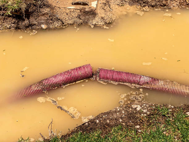 Best Water damage restoration cost  in Eatonville, WA