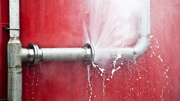 Best Water damage restoration near me  in Eatonville, WA